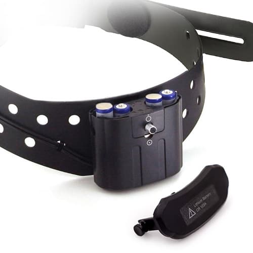 Riester ri-focus® LED thumbnail 2