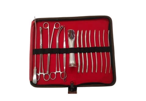 DIALTION AND CURETTAGE SET
